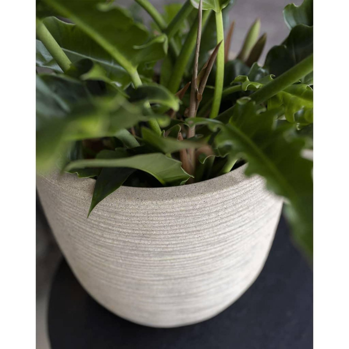 CAPI Capi Pot a fleurs Waste Rib 43x41 cm Beige terrazzo