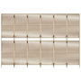 Voir la diapositive 5 : VIDAXL Cloison de separation 6 panneaux beige resine tressee