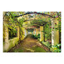Voir la diapositive 2 : Paris Prix Papier Peint  Pergola