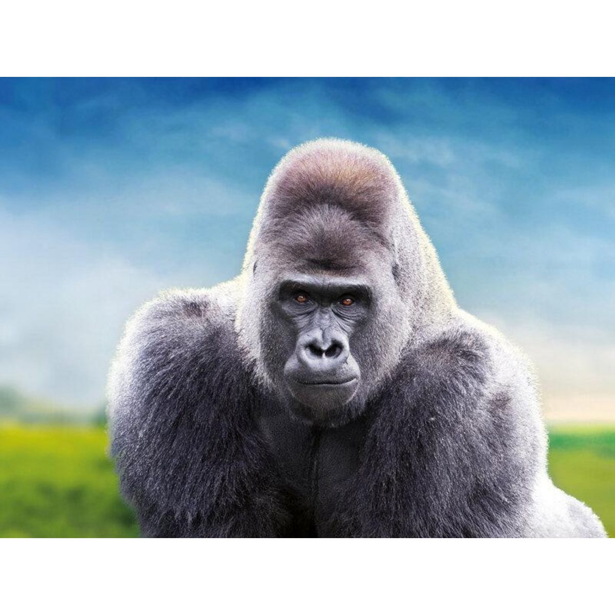 Smartbox Une journée en famille au ZooParc de Beauval en 2025 pour 2 adultes et 1 enfant - Coffret Cadeau Multi-thèmes