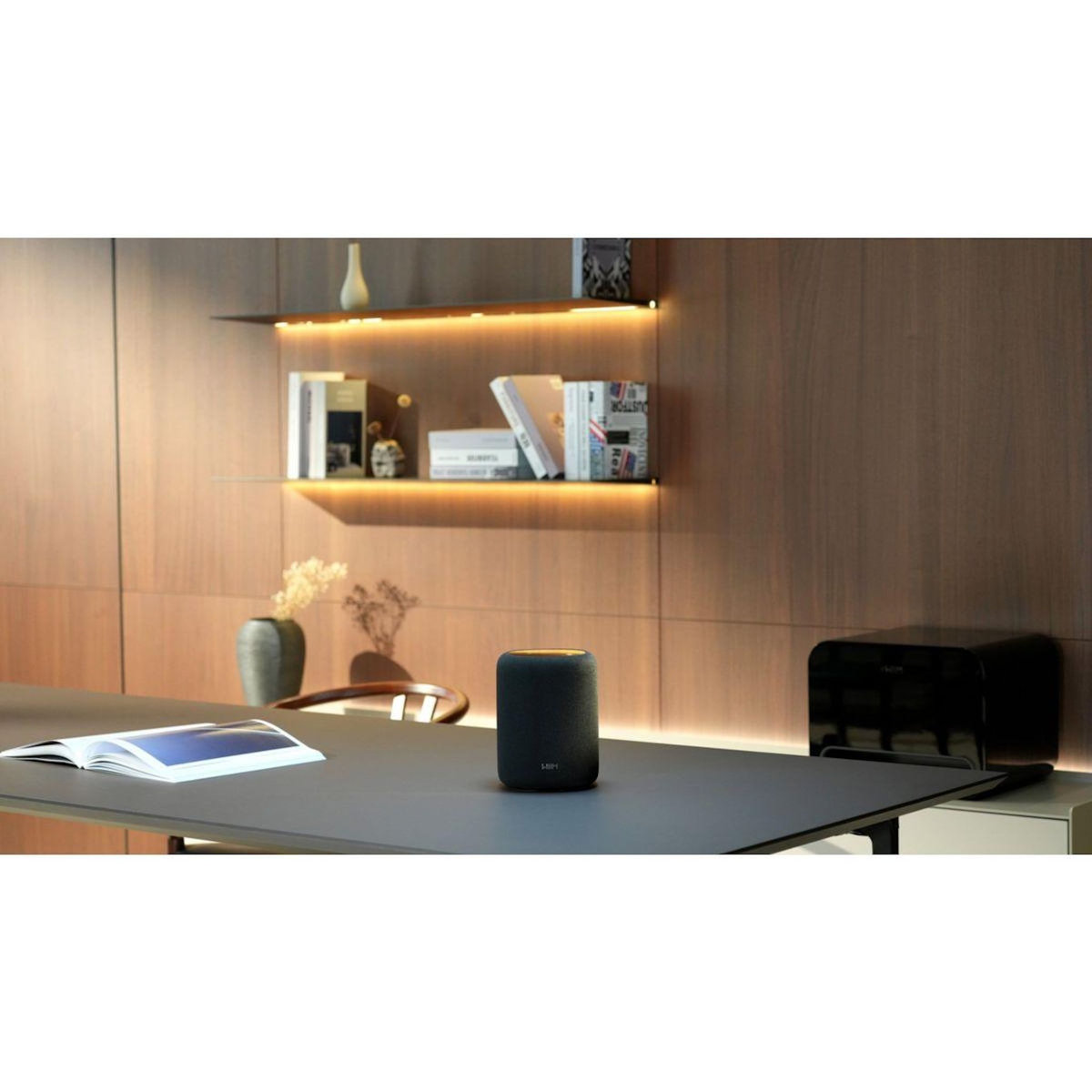 WIIM Enceinte résidentielle SOUND LITE BLACK