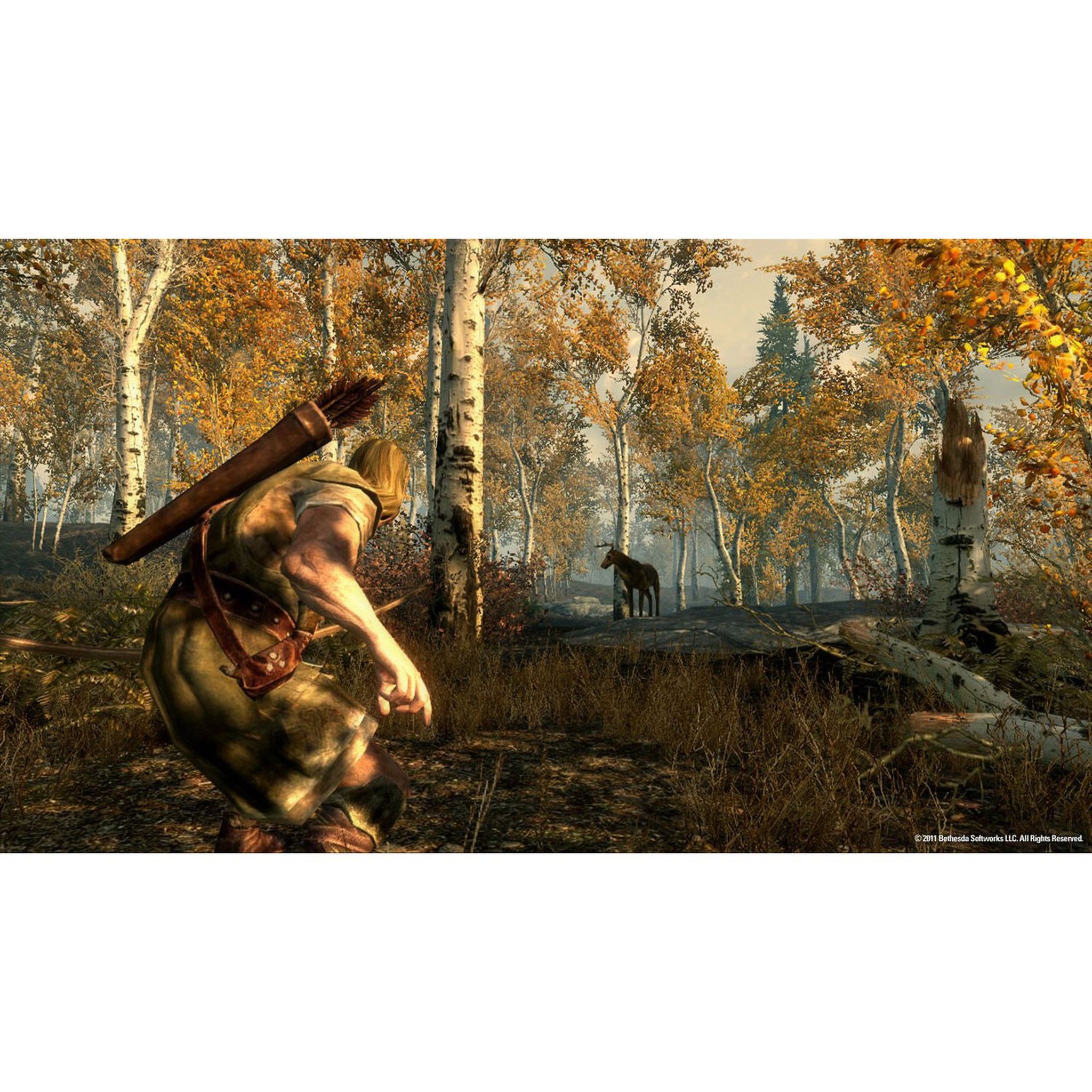 Voir la diapositive 3 : Skyrim Anniversary Edition PS4