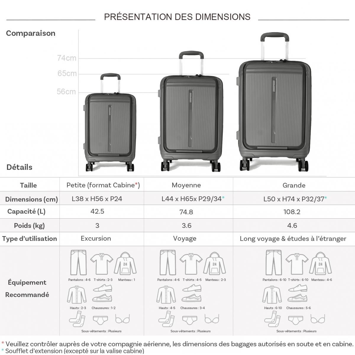 David Jones Lot 3 valises rigides dont 1 cabine porte-ordinateur 17  TSA