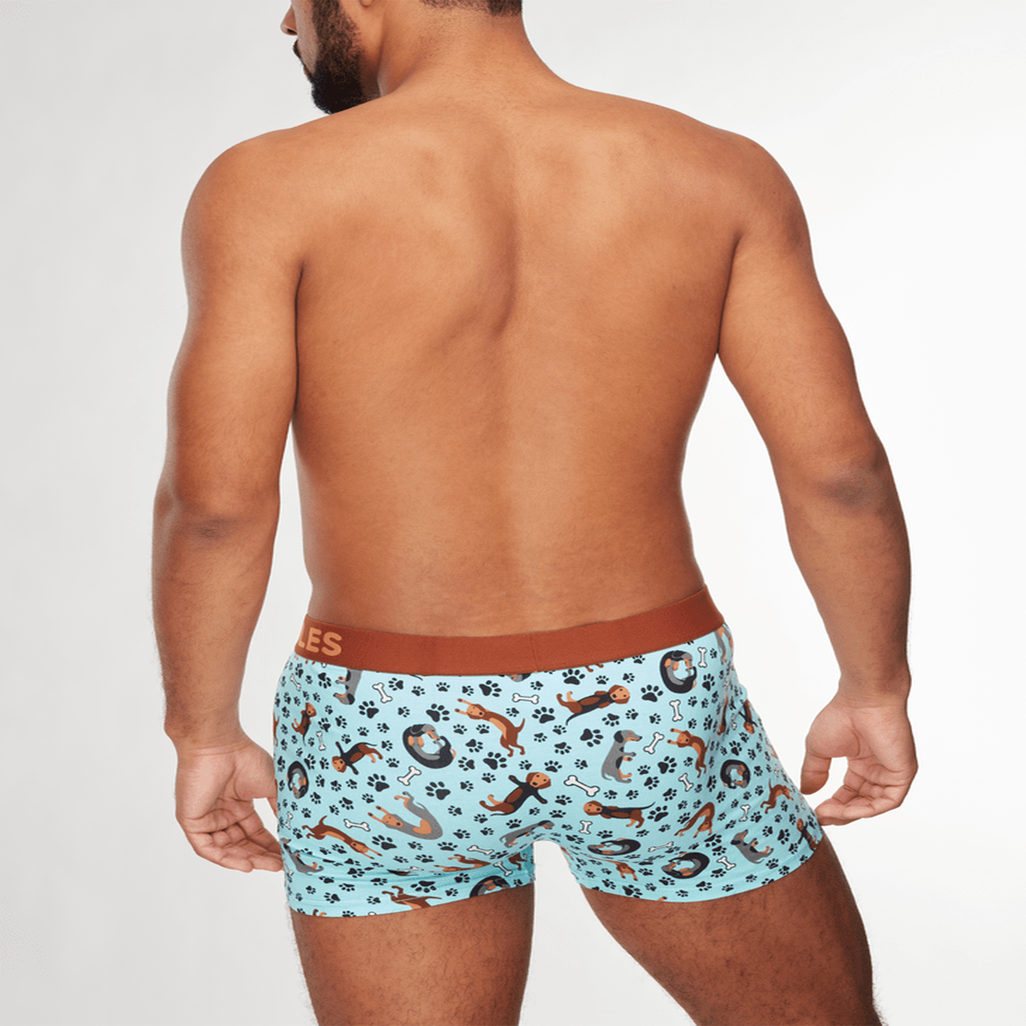 Voir la diapositive 4 : DEDOLES Boxer dedoles homme teckel