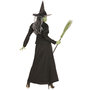 Voir la diapositive 3 : WIDMANN Déguisement sorcière des fables - Femme - S - 36/38