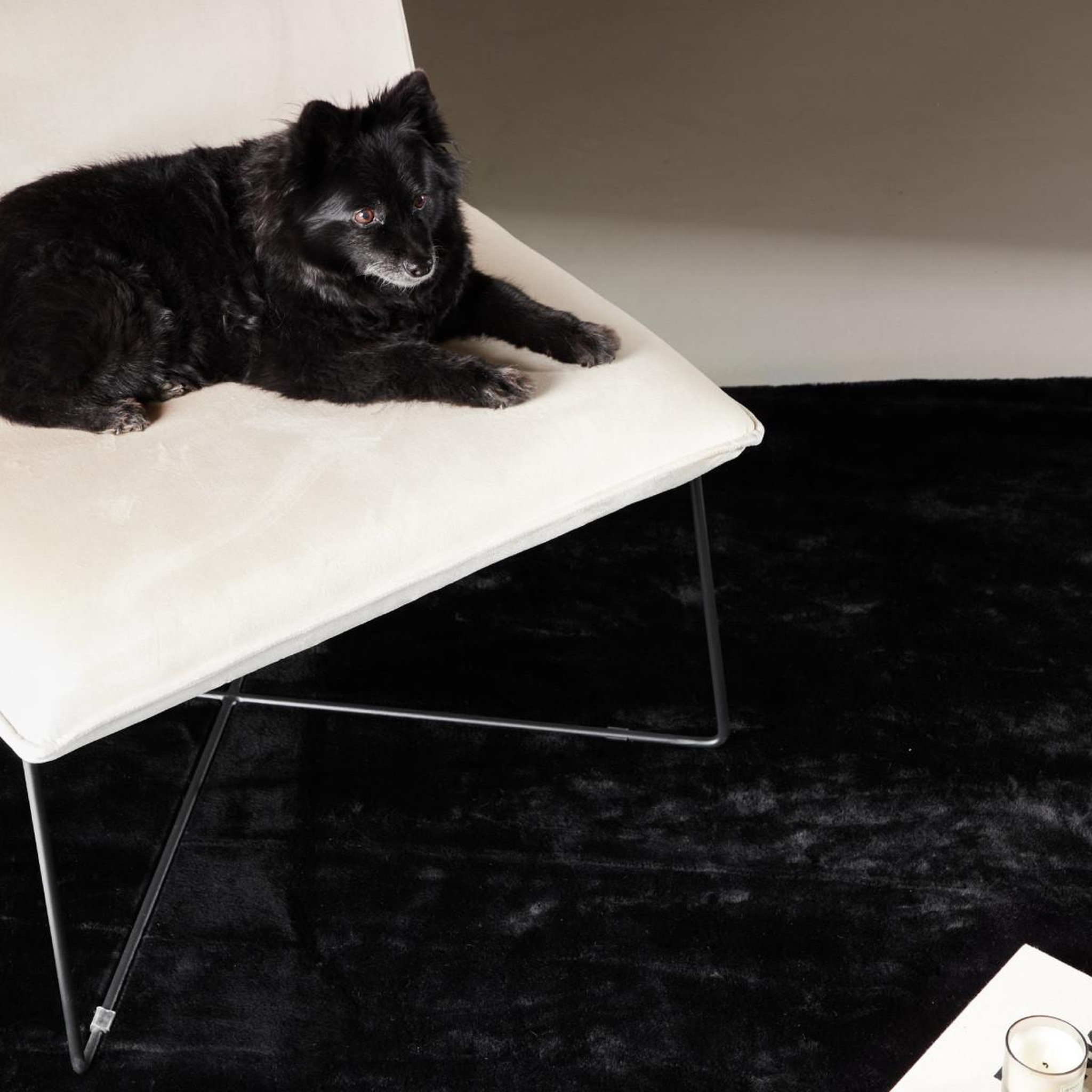 Voir la diapositive 3 : Paris Prix Tapis design  nina  160x230cm noir