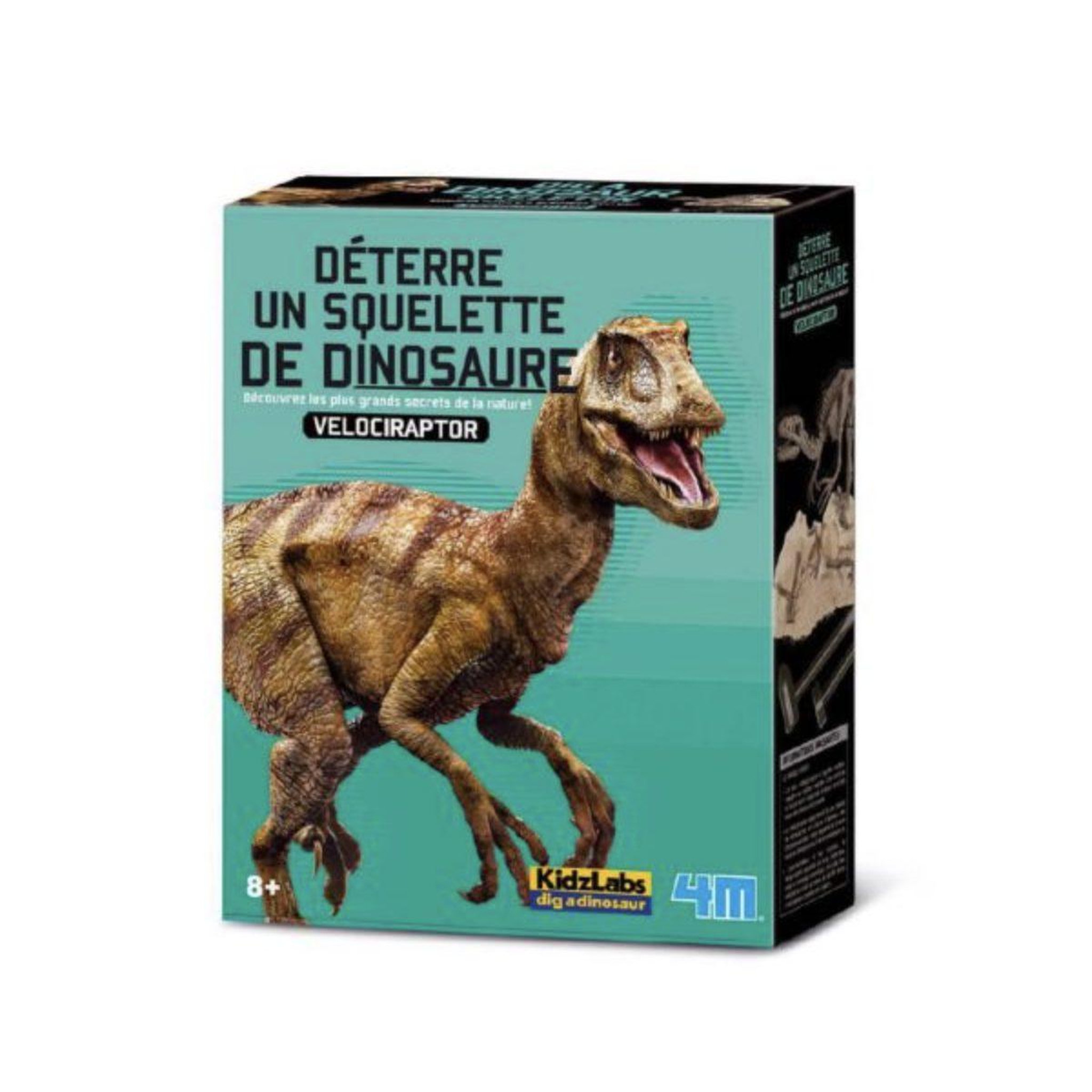 DTM Deterre ton dinosaure velociraptor - graine creative