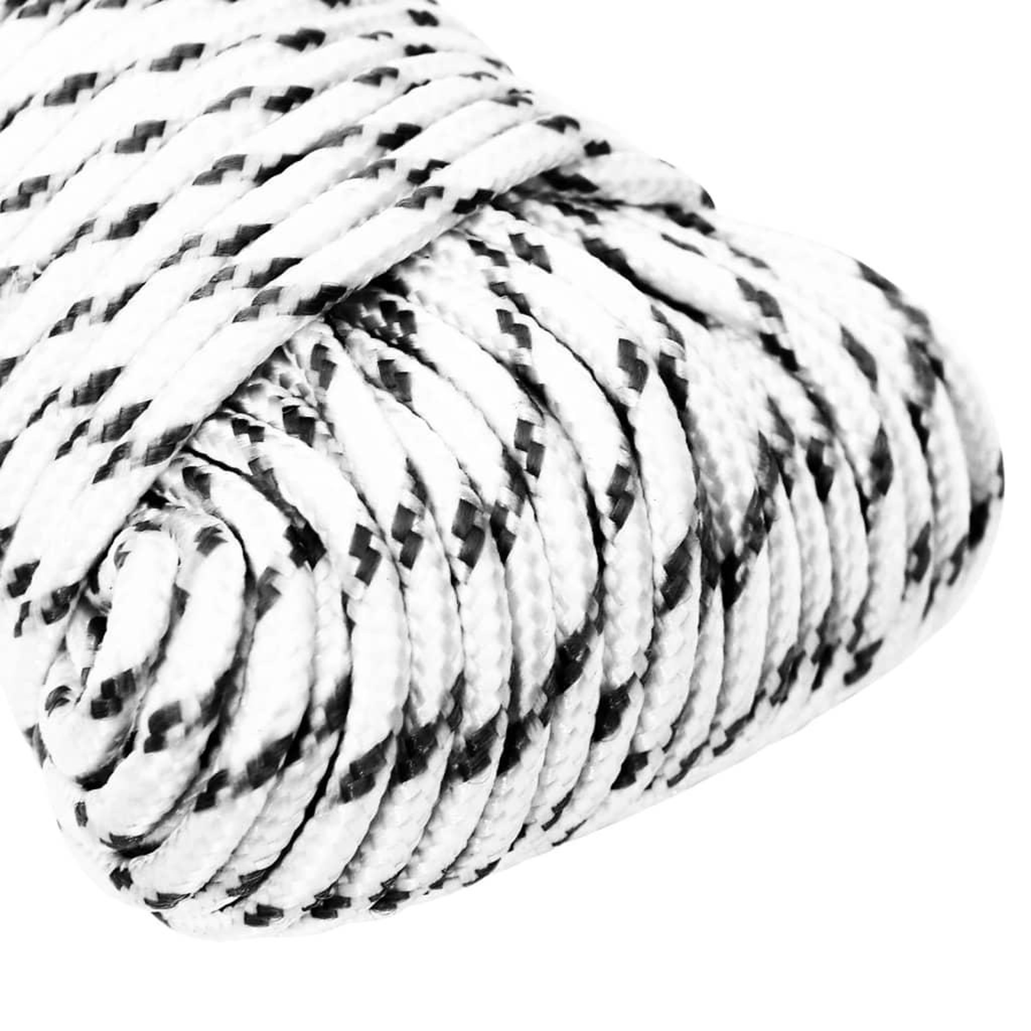 Voir la diapositive 3 : VIDAXL Corde de bateau tresse Blanc 4 mmx250 m Polyester
