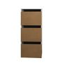 Voir la diapositive 3 : Meuble à chaussures 3 portes H118cm MAX