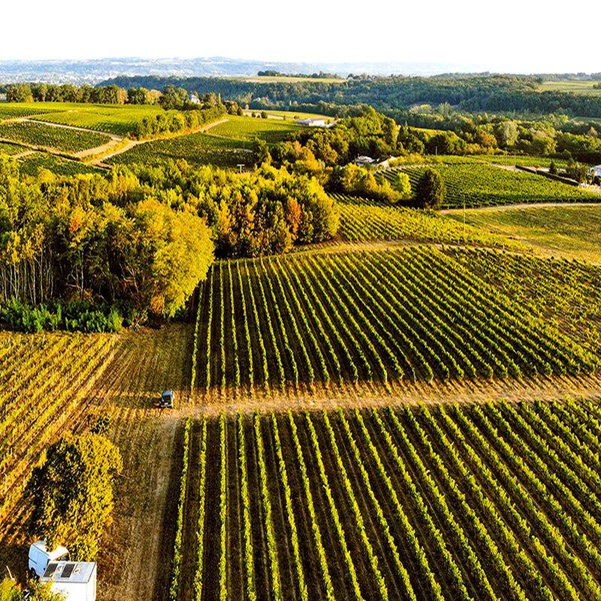 Voir la diapositive 2 : Smartbox Découverte de vignes biodynamiques avec dégustation de vins en gironde - coffret cadeau sport & aventure