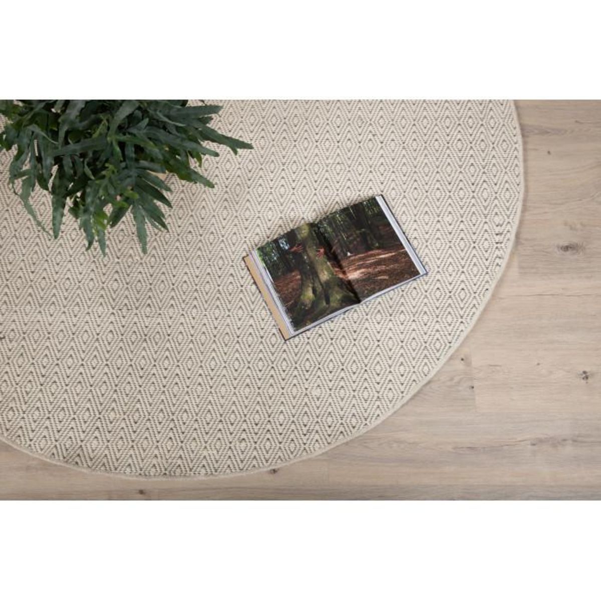 Paris Prix Tapis Rond  Julana  200cm Beige