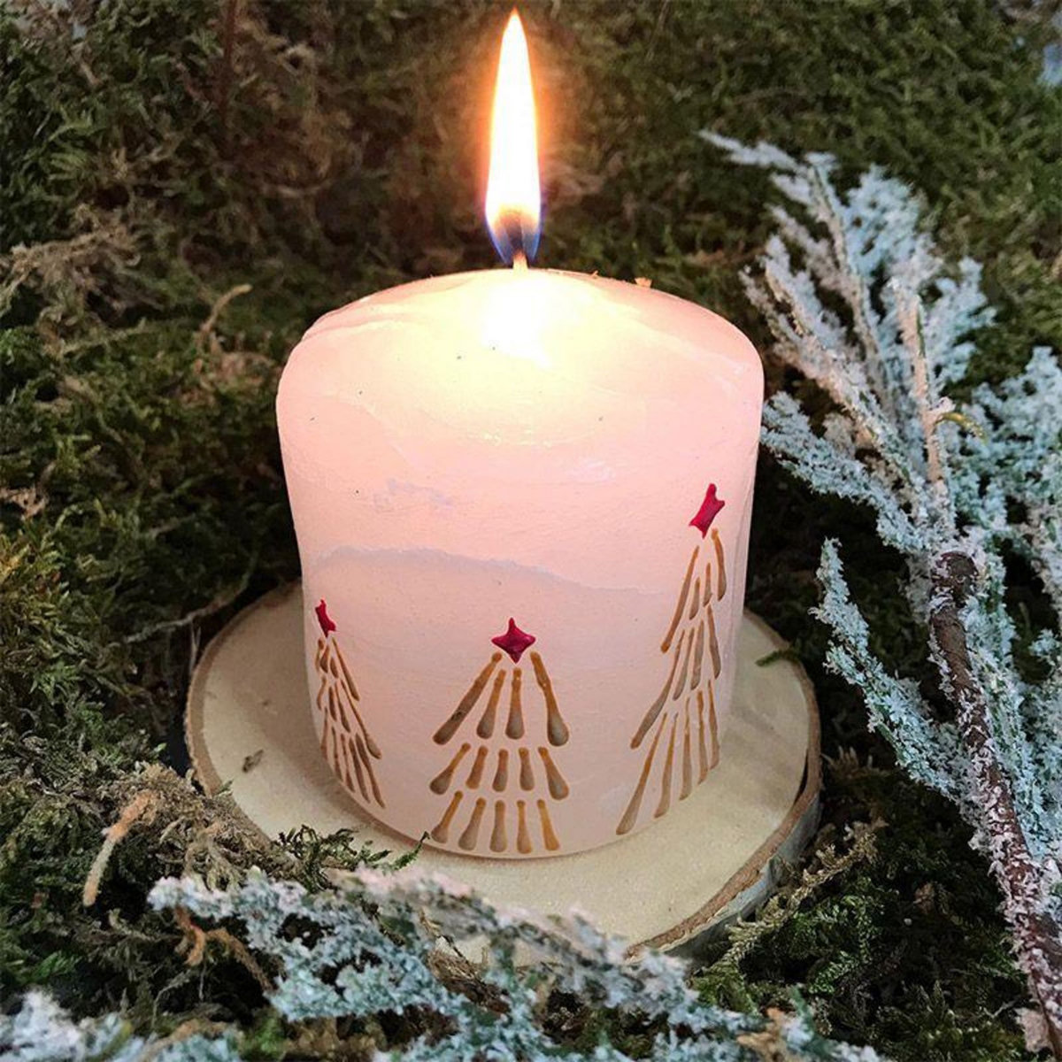 Graine créative Cire pour fabrication de bougie 2 kg