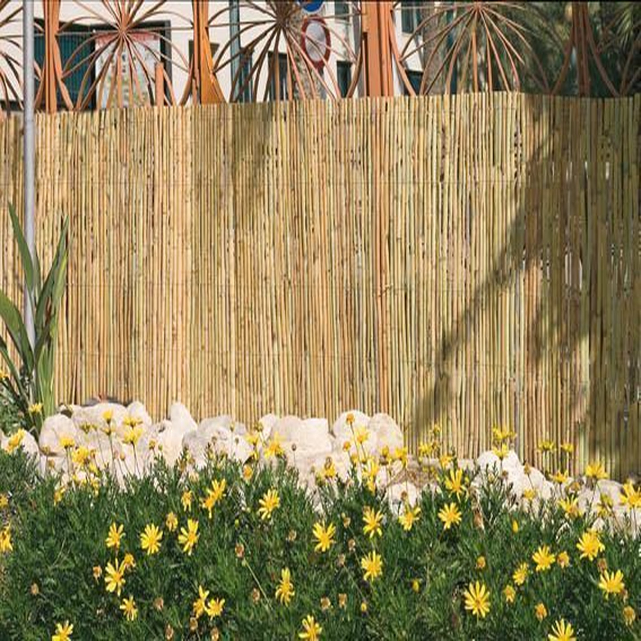Voir la diapositive 1 : Catral Canisse en roseau fendu 1x5 m