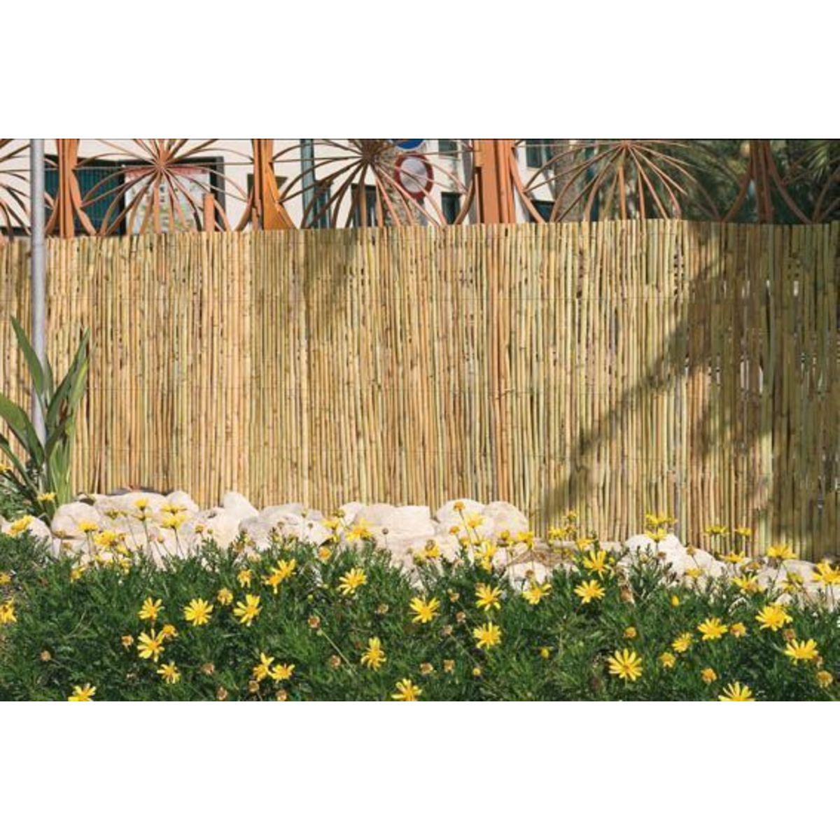 Catral Canisse en roseau fendu 1x5 m
