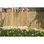 Voir la diapositive 1 : Catral Canisse en roseau fendu 1x5 m