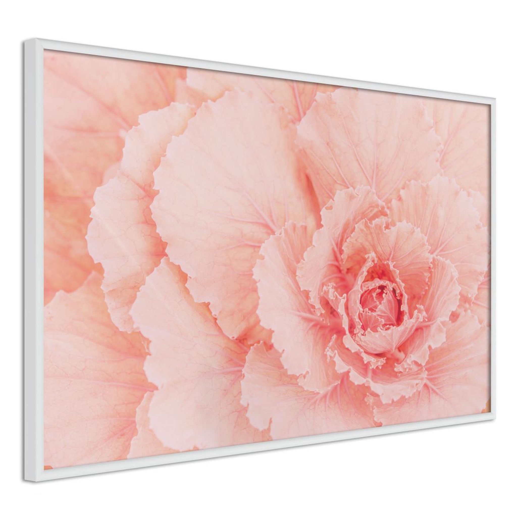 Paris Prix Affiche Murale Encadrée  Delicate Petals