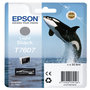 Voir la diapositive 2 : Epson Epson Cartouche Orque T7607 Noir clair