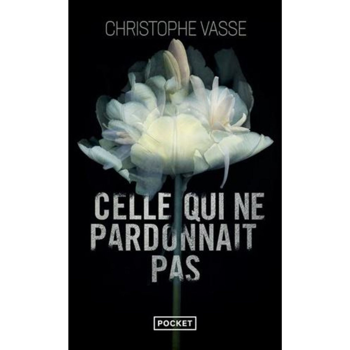 CELLE QUI NE PARDONNAIT PAS, Vasse Christophe