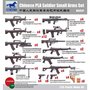  Accessoires militaires : set d'armes de poing armée Chinoise