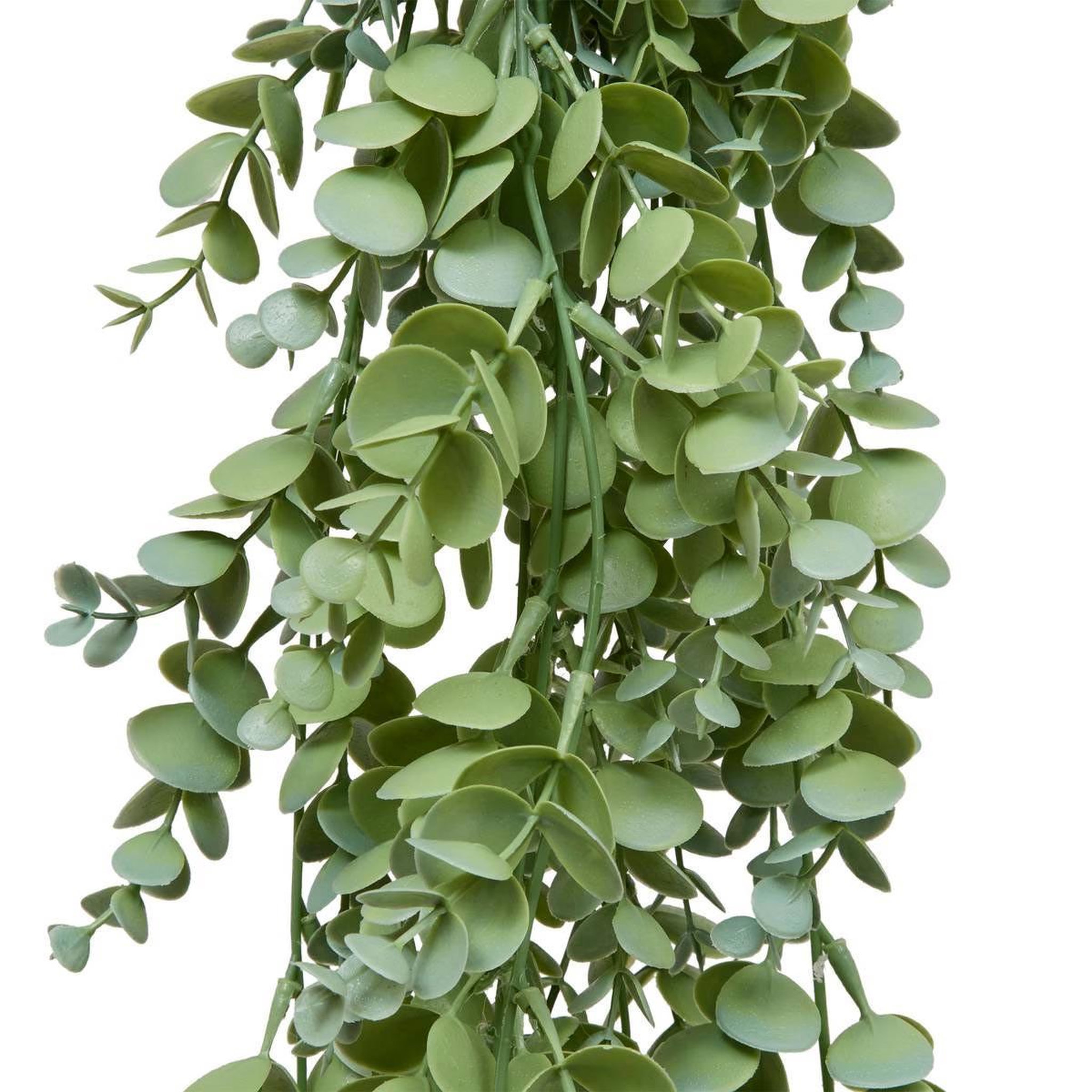 Voir la diapositive 2 : ATMOSPHERA Eucalyptus artificiel tombant  james  80cm vert