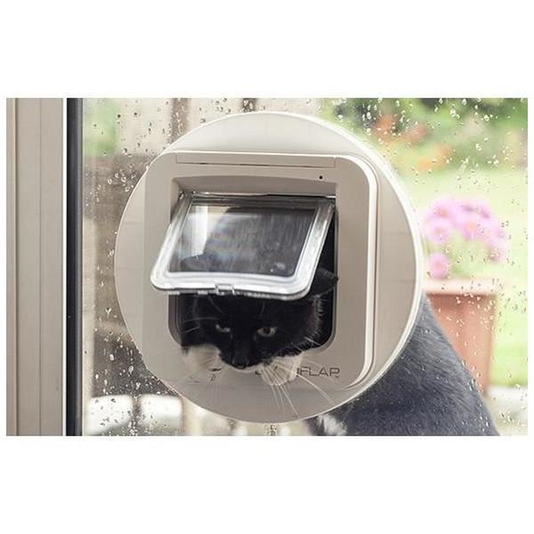 Voir la diapositive 2 : ALLIBERT SUREFLAP Chatiere a puce électronique DualScan - Blanc - 142 mm x 120 mm (Mémorisation d'un maximum de 32 puces)