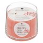 Voir la diapositive 2 : ATMOSPHERA Bougie Parfumée en Verre  Izor  300g Fruit des Bois