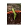 Voir la diapositive 6 : SUAN Lot de 2 outils de jardin - Suan - Transplantoir et pic - En acier