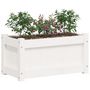 Voir la diapositive 4 : VIDAXL Jardinieres 2 pcs blanc bois de pin massif