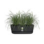 Voir la diapositive 3 : ELHO ELHO - Pot de fleurs  -  Greenville Easy Balcony 52 - Living Noir - Balcon - L 21.2 x W 52 x H 19.4 cm