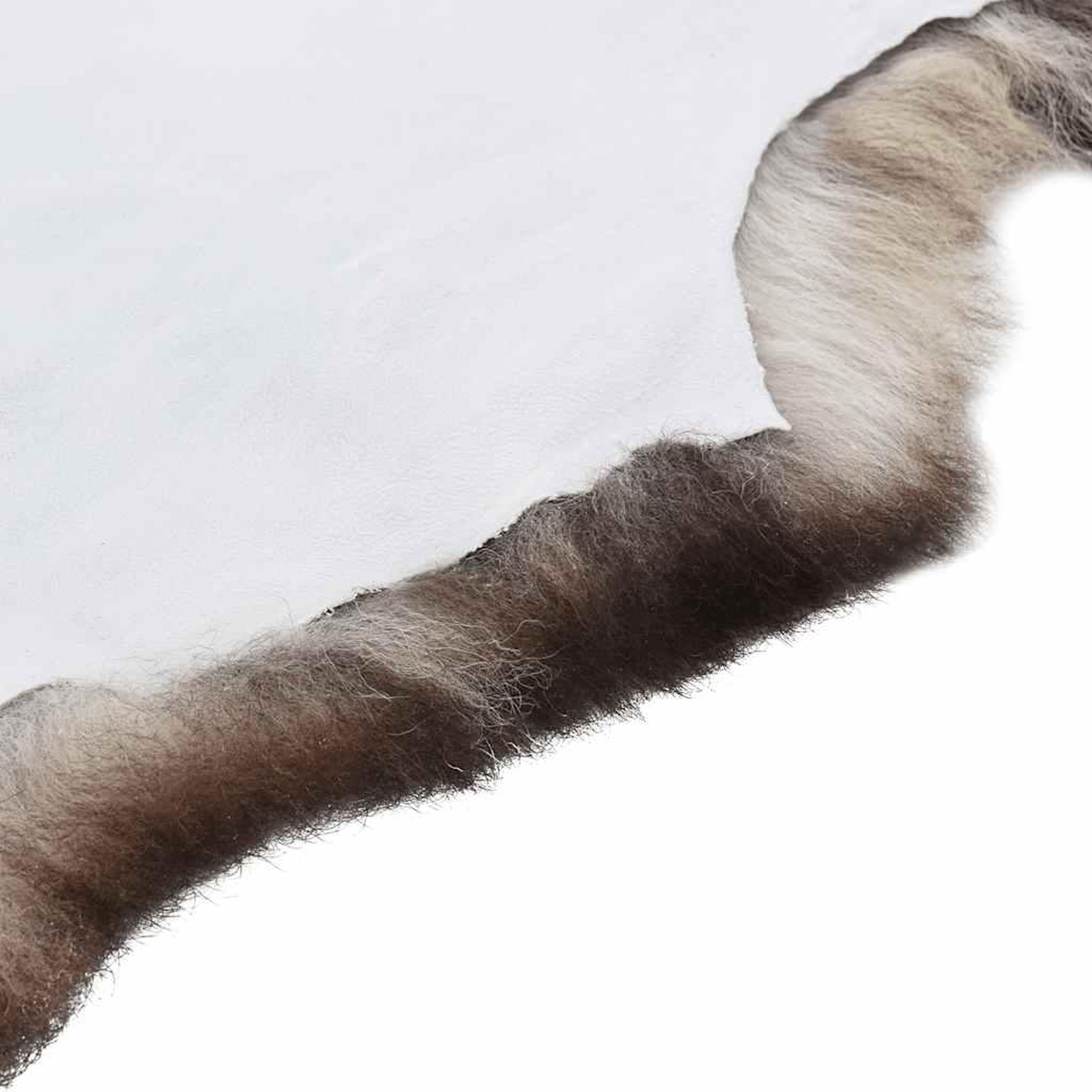 Voir la diapositive 3 : VIDAXL Peau de mouton Couleur melangee (60-70)x(90-100) cm
