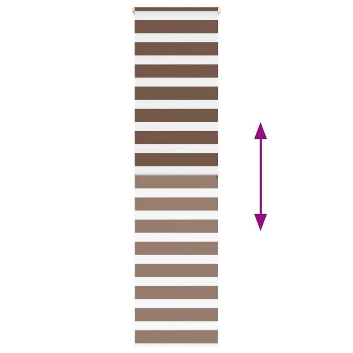 VIDAXL Store zebre marron 55x200 cm largeur du tissu 50,9 cm polyester