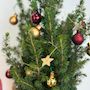 Voir la diapositive 2 : PLANT IN A BOX Mini-sapin avec sac-en-jute - Picea glauca Conica - 55-65cm - ⌀15cm