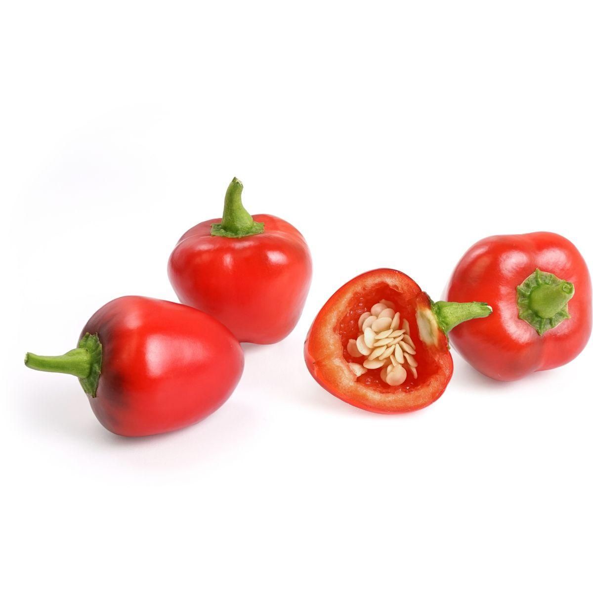 VERITABLE Recharge jardin d'intérieur Mini Poivrons