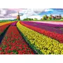 Eurographics Puzzle 1000 pièces : Champ de tulipes