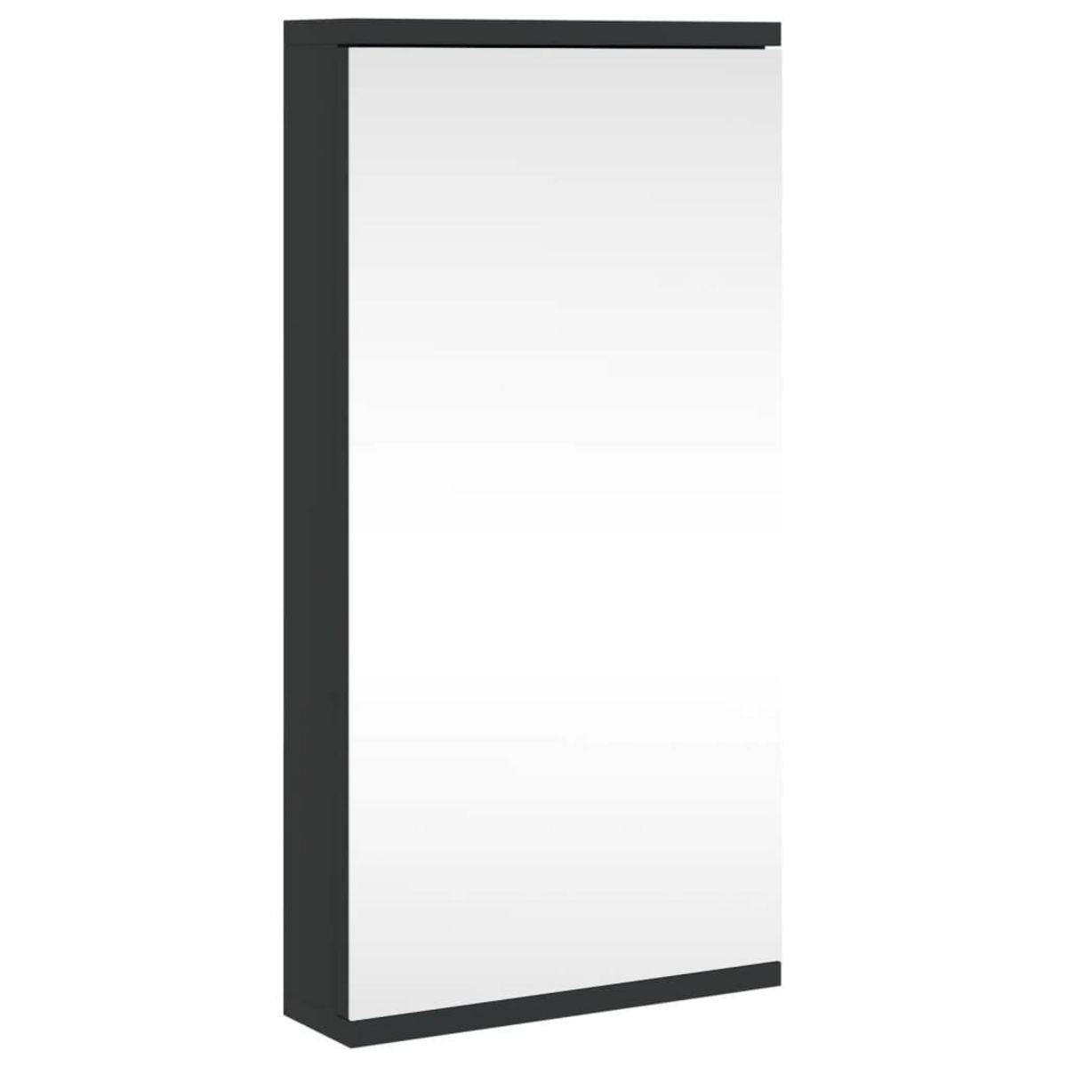 VIDAXL Armoire de bain a miroir d'angle noir 30x24x60 cm