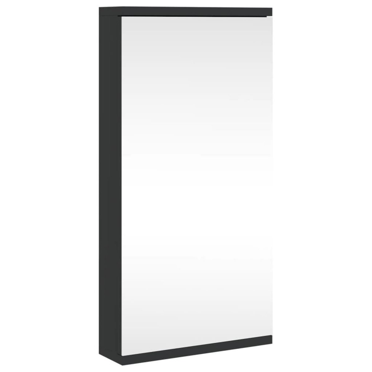 VIDAXL Armoire de bain a miroir d'angle noir 30x24x60 cm