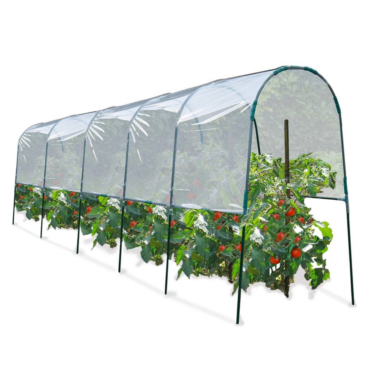 ID MARKET Serre à tomates 6 M