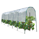 ID MARKET Serre à tomates 6 M