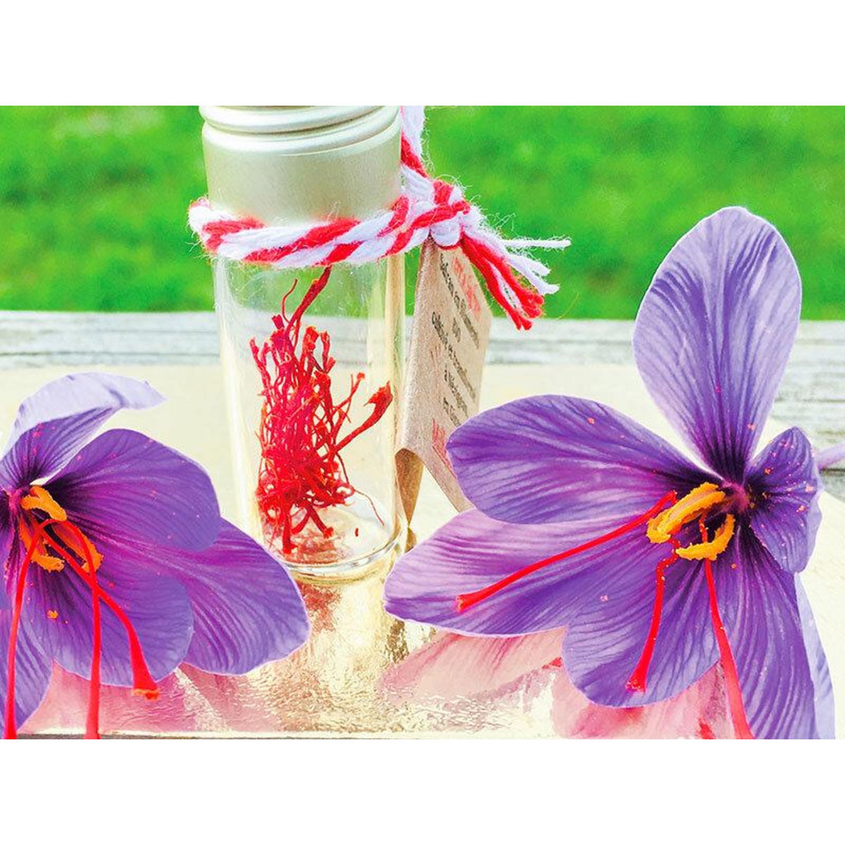 Smartbox Visite d'une safranière et d'un vignoble en agriculture biologique avec dégustations - Coffret Cadeau Gastronomie