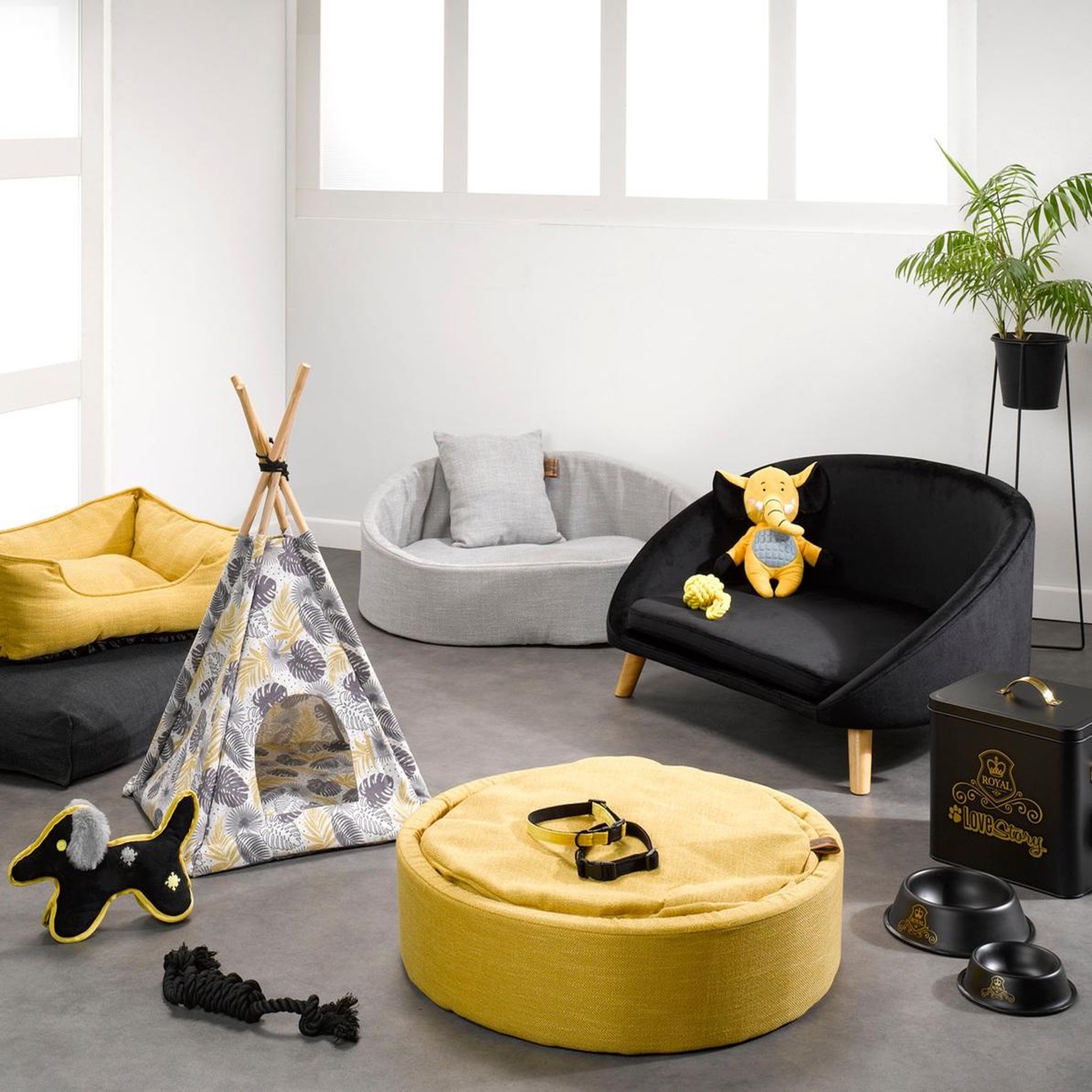 Voir la diapositive 3 : Eden Jeu corde multi noeuds noir pour chien