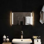 VIDAXL Miroir de salle de bain a LED 50x30 cm