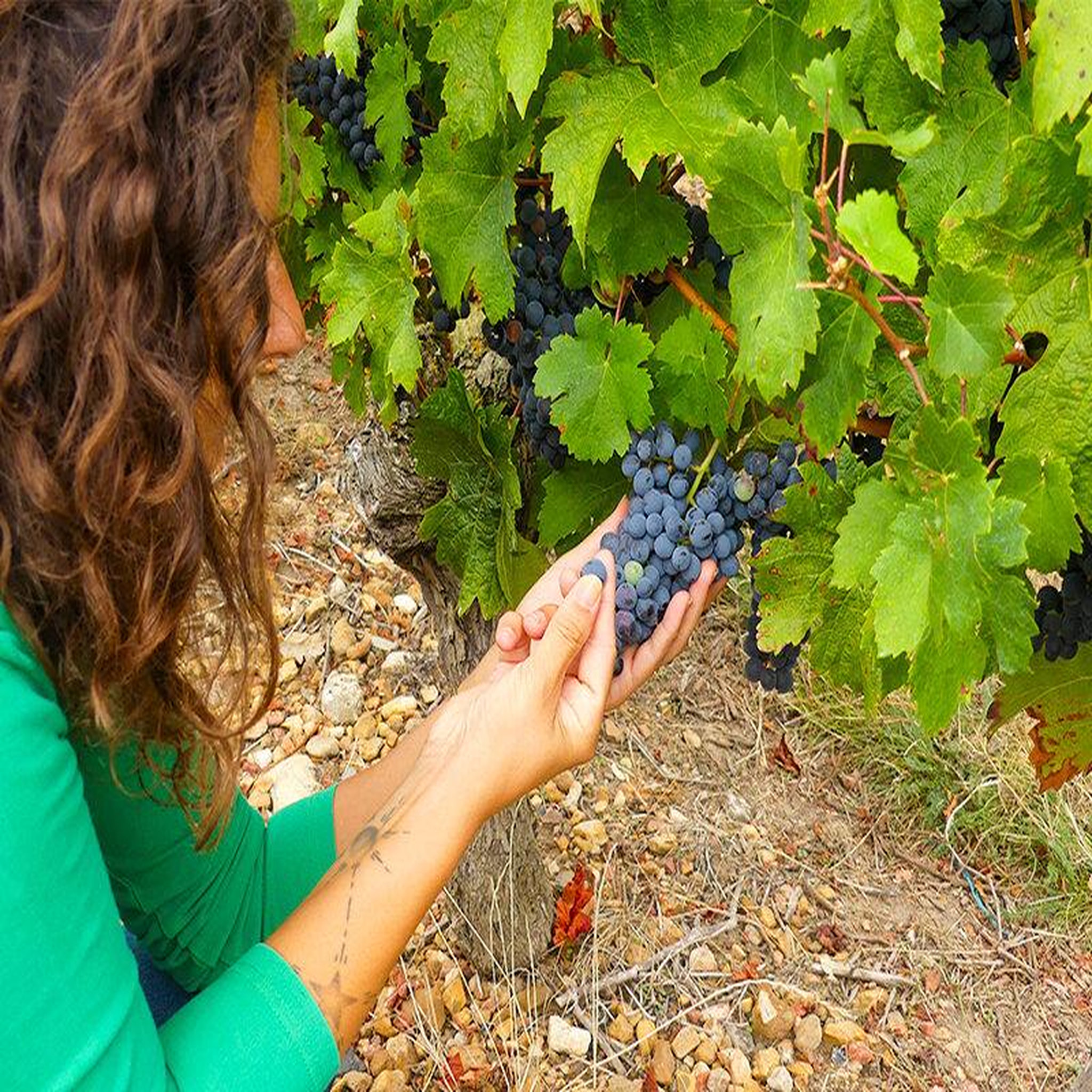 Voir la diapositive 3 : Smartbox Séance d'œnologie en visioconférence avec 3 bouteilles de vin livrées à domicile - Coffret Cadeau Gastronomie