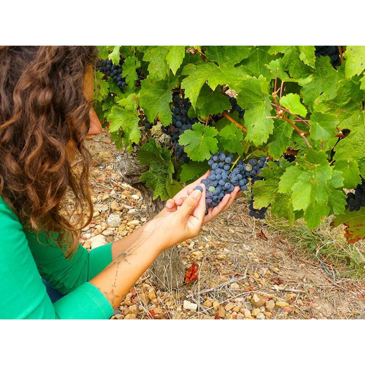 Smartbox Séance d'œnologie en visioconférence avec 3 bouteilles de vin livrées à domicile - Coffret Cadeau Gastronomie