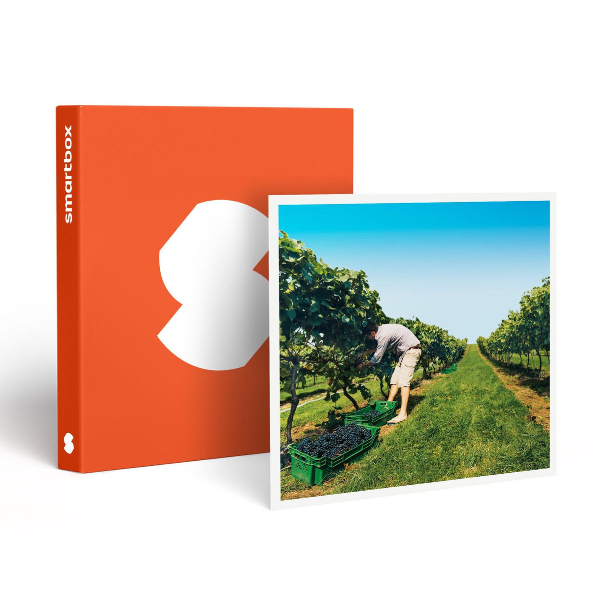 Smartbox À la découverte de nos vignobles - Coffret Cadeau Gastronomie