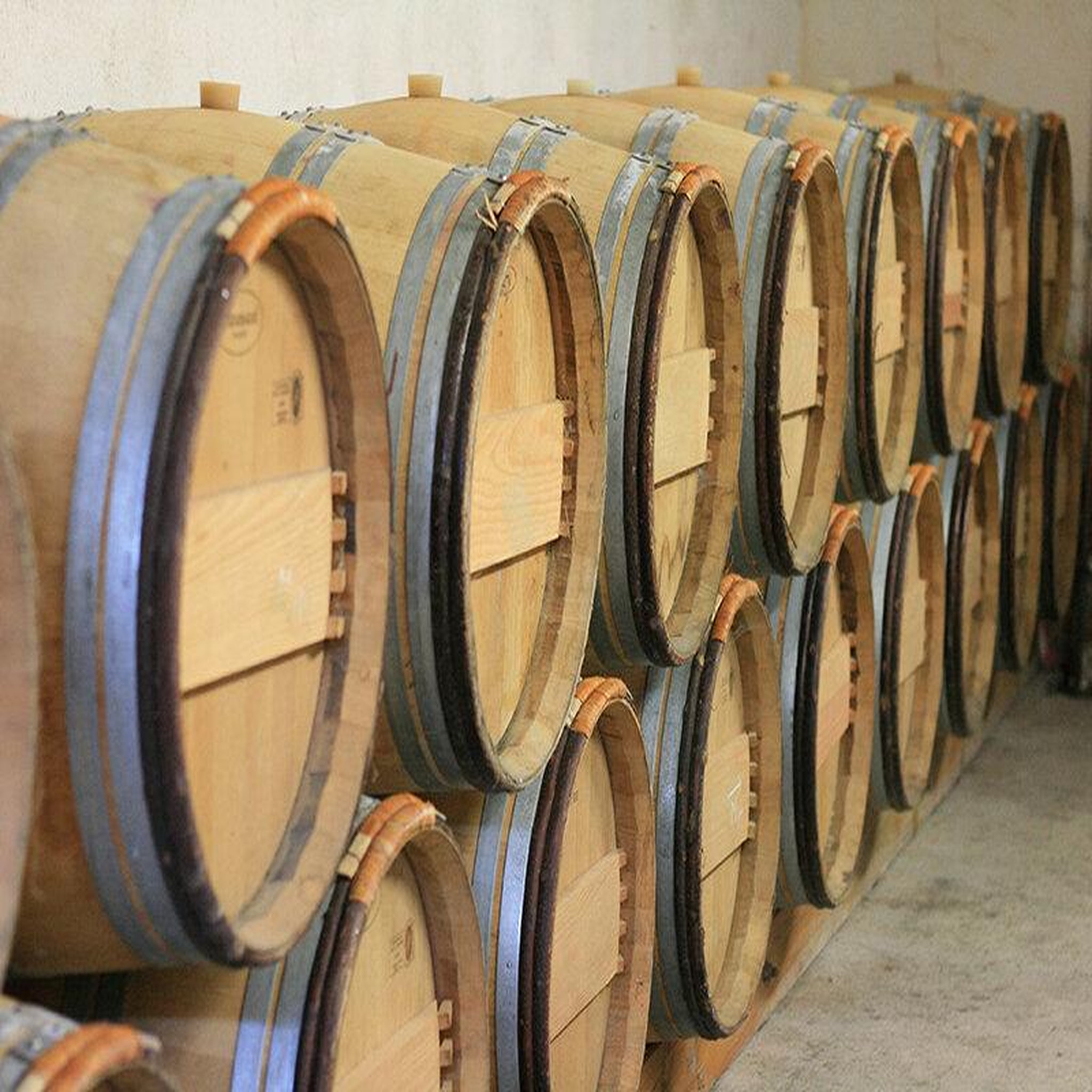 Voir la diapositive 4 : Smartbox Visite de vignoble biologique avec dégustation de 3 vins pour 2 près de blaye - coffret cadeau sport & aventure
