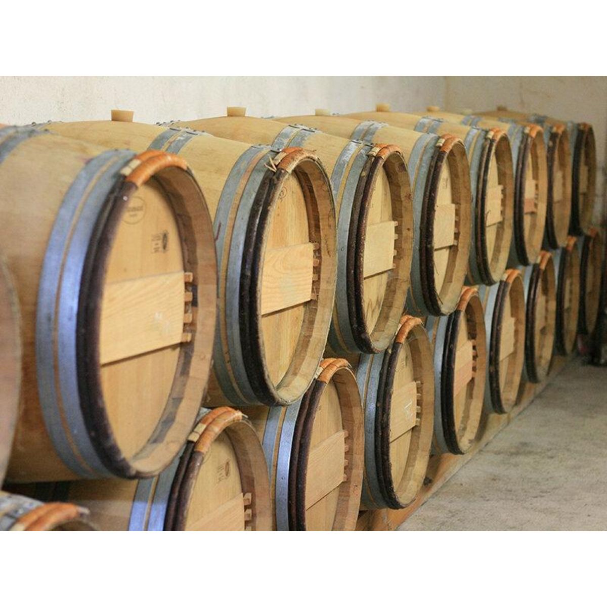 Smartbox Visite de vignoble biologique avec dégustation de 3 vins pour 2 près de Blaye - Coffret Cadeau Sport & Aventure