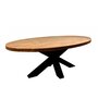 NOUVOMEUBLE Table ovale 220 cm en manguier et métal OTILIA