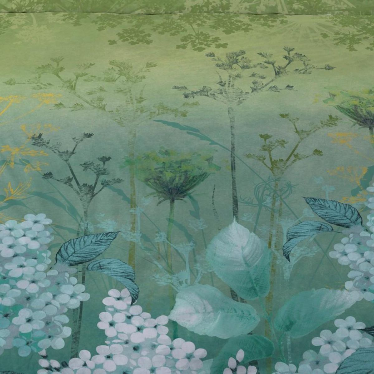 Dourev Housse de couette 240x220 BLANCHEFLEUR + 2 taies Percale de coton