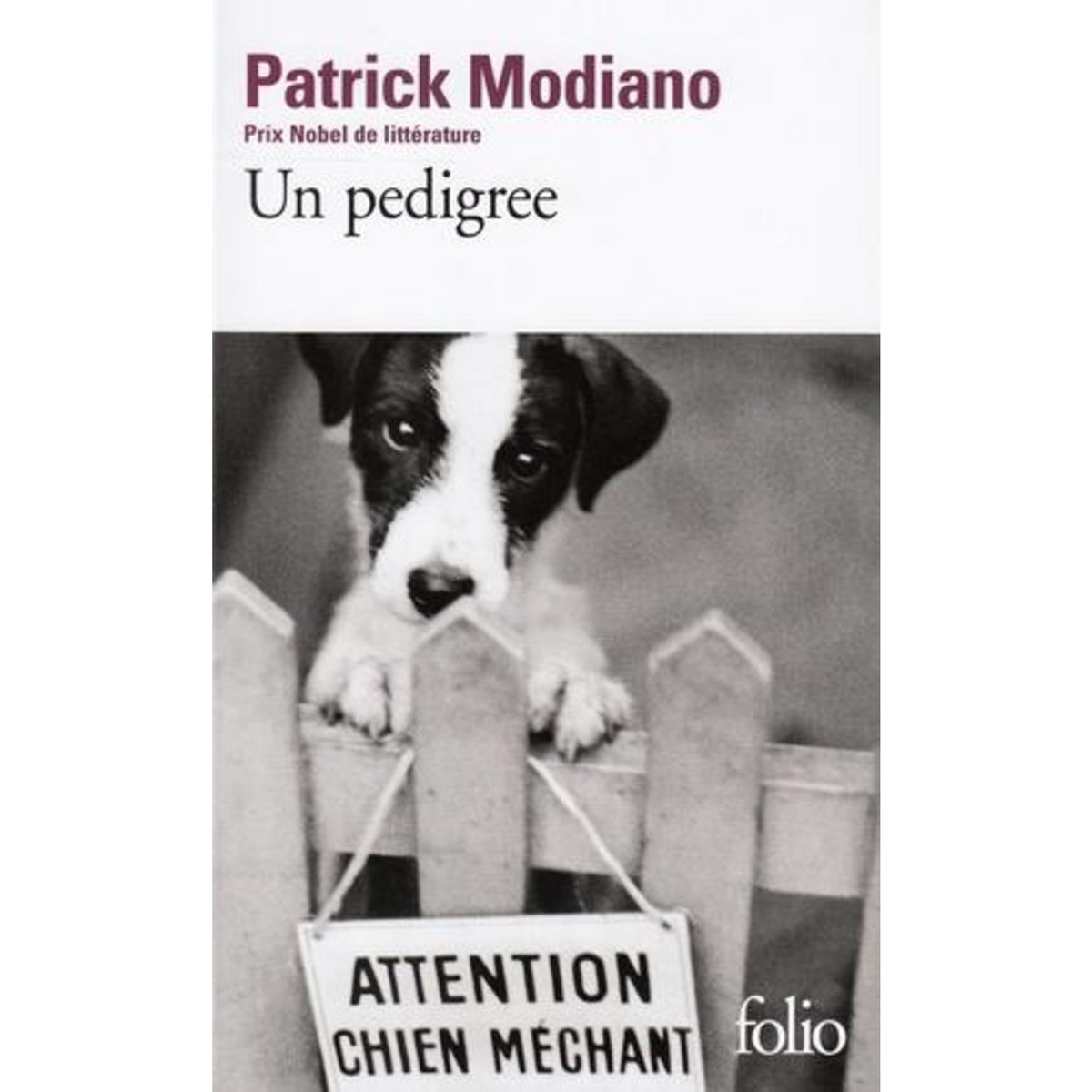 UN PEDIGREE, Modiano Patrick