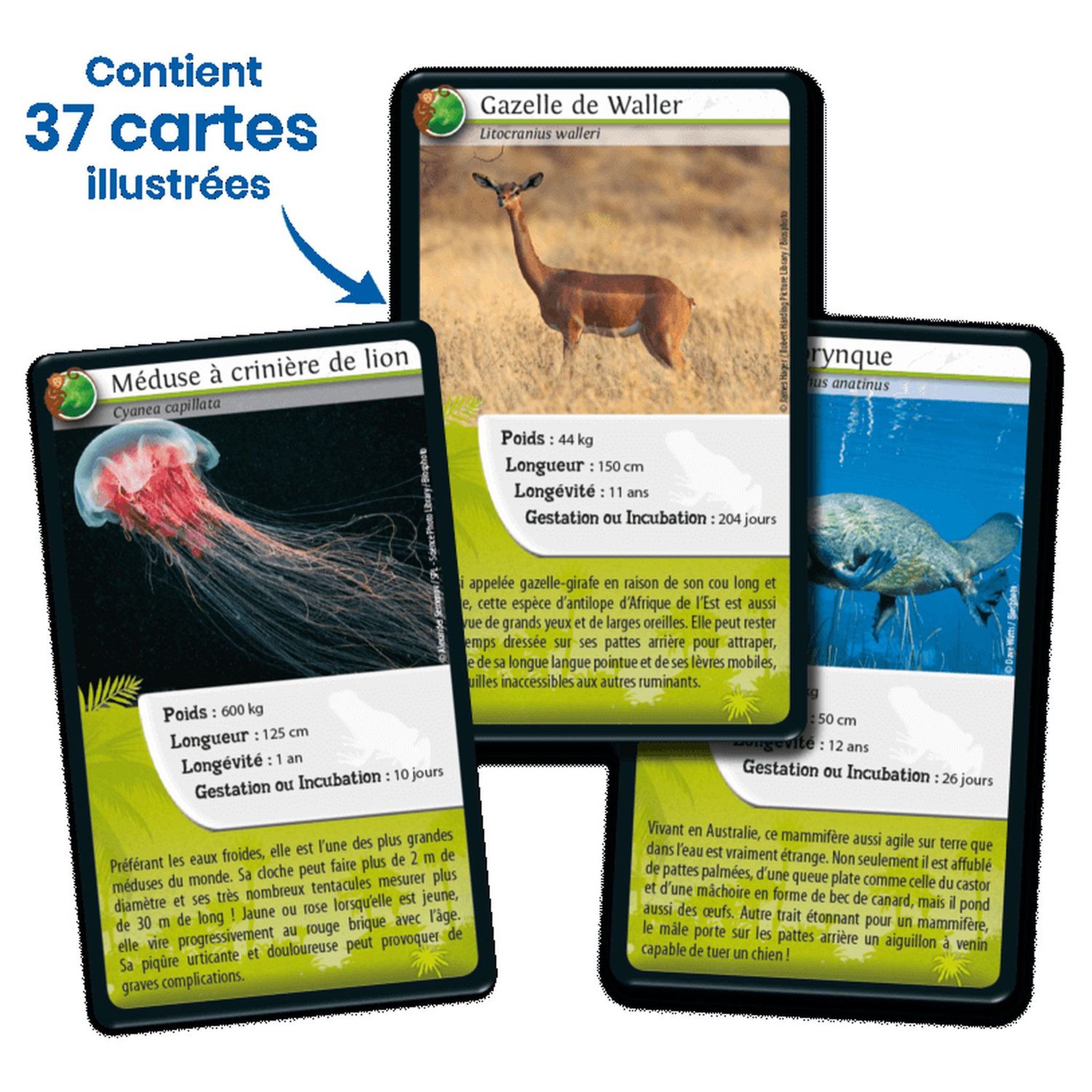Voir la diapositive 3 : BIOVIVA Défis Nature - Animaux Extraordinaires